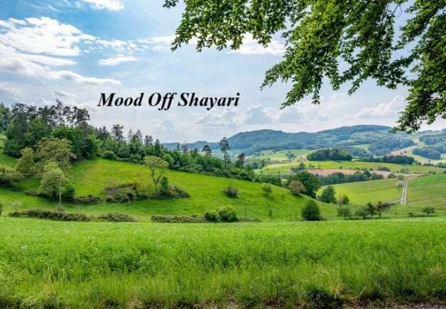 Mood Off Shayari